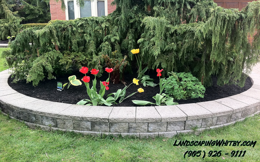 Garden Black Mulch
